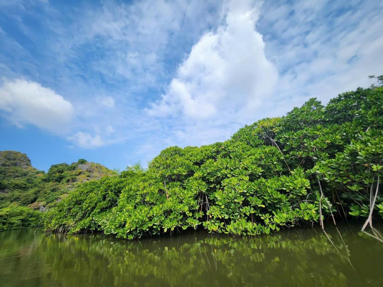 Aroma Cat Ba Sea View Hotel Chan Chau ภายนอก รูปภาพ